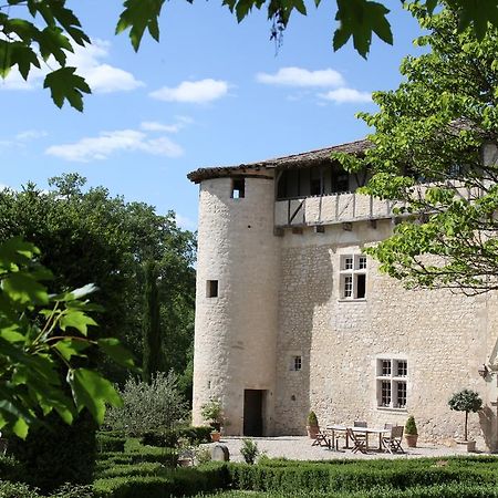 Chateau De Mayragues Castelnau-de-Montmiral Εξωτερικό φωτογραφία
