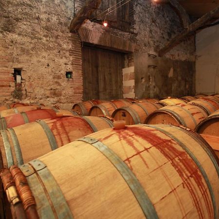 Chateau De Mayragues Castelnau-de-Montmiral Εξωτερικό φωτογραφία