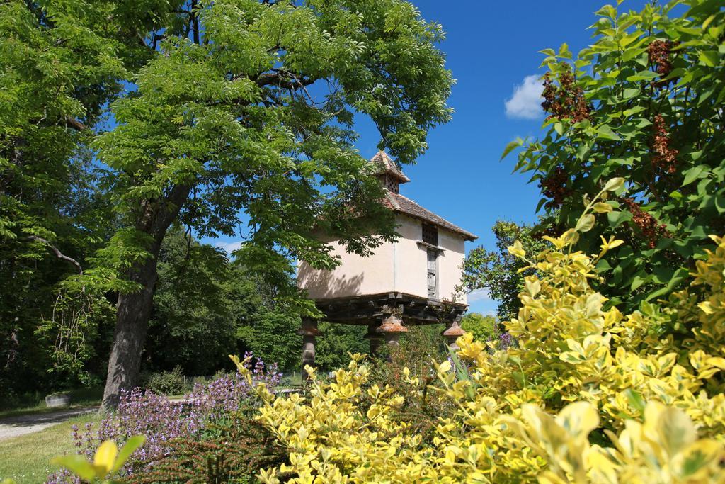Chateau De Mayragues Castelnau-de-Montmiral Εξωτερικό φωτογραφία