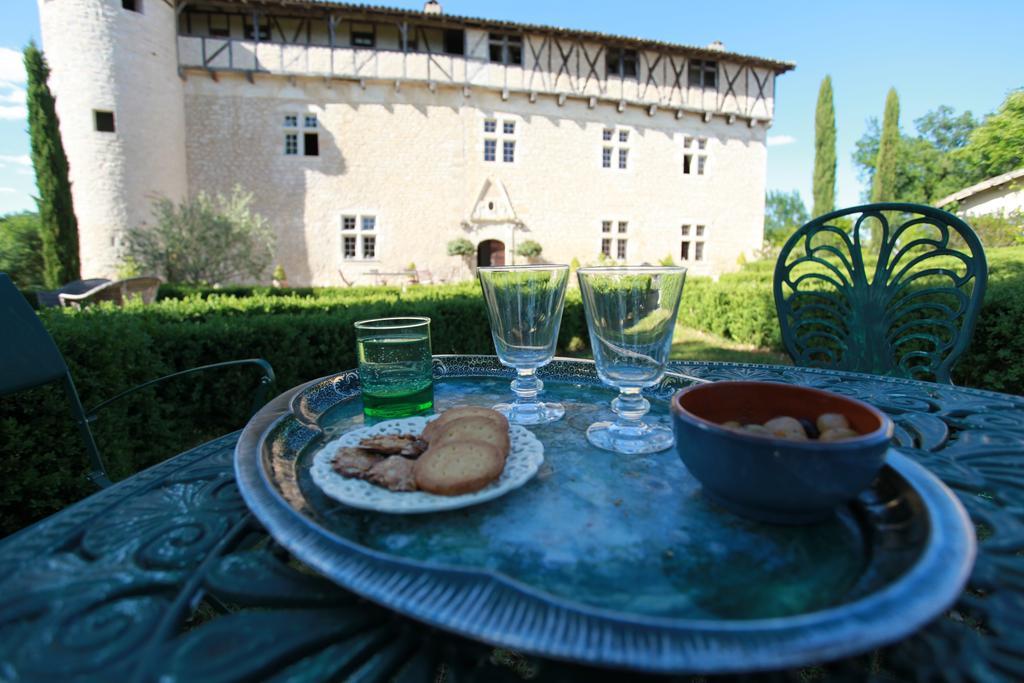 Chateau De Mayragues Castelnau-de-Montmiral Εξωτερικό φωτογραφία
