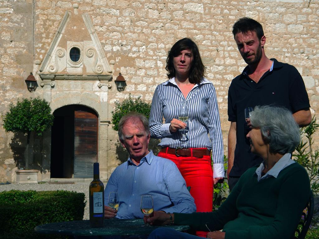 Chateau De Mayragues Castelnau-de-Montmiral Εξωτερικό φωτογραφία