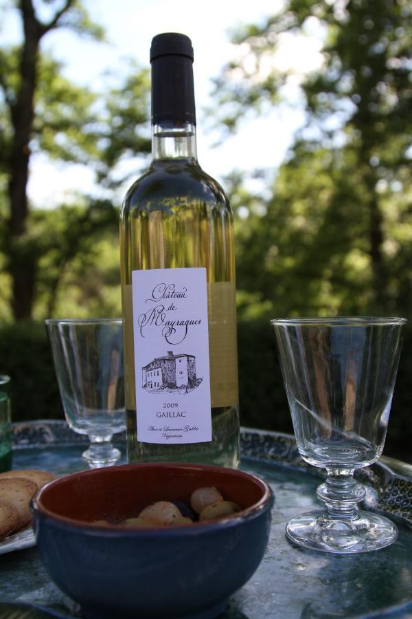 Chateau De Mayragues Castelnau-de-Montmiral Εξωτερικό φωτογραφία