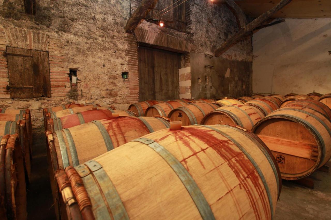 Chateau De Mayragues Castelnau-de-Montmiral Εξωτερικό φωτογραφία