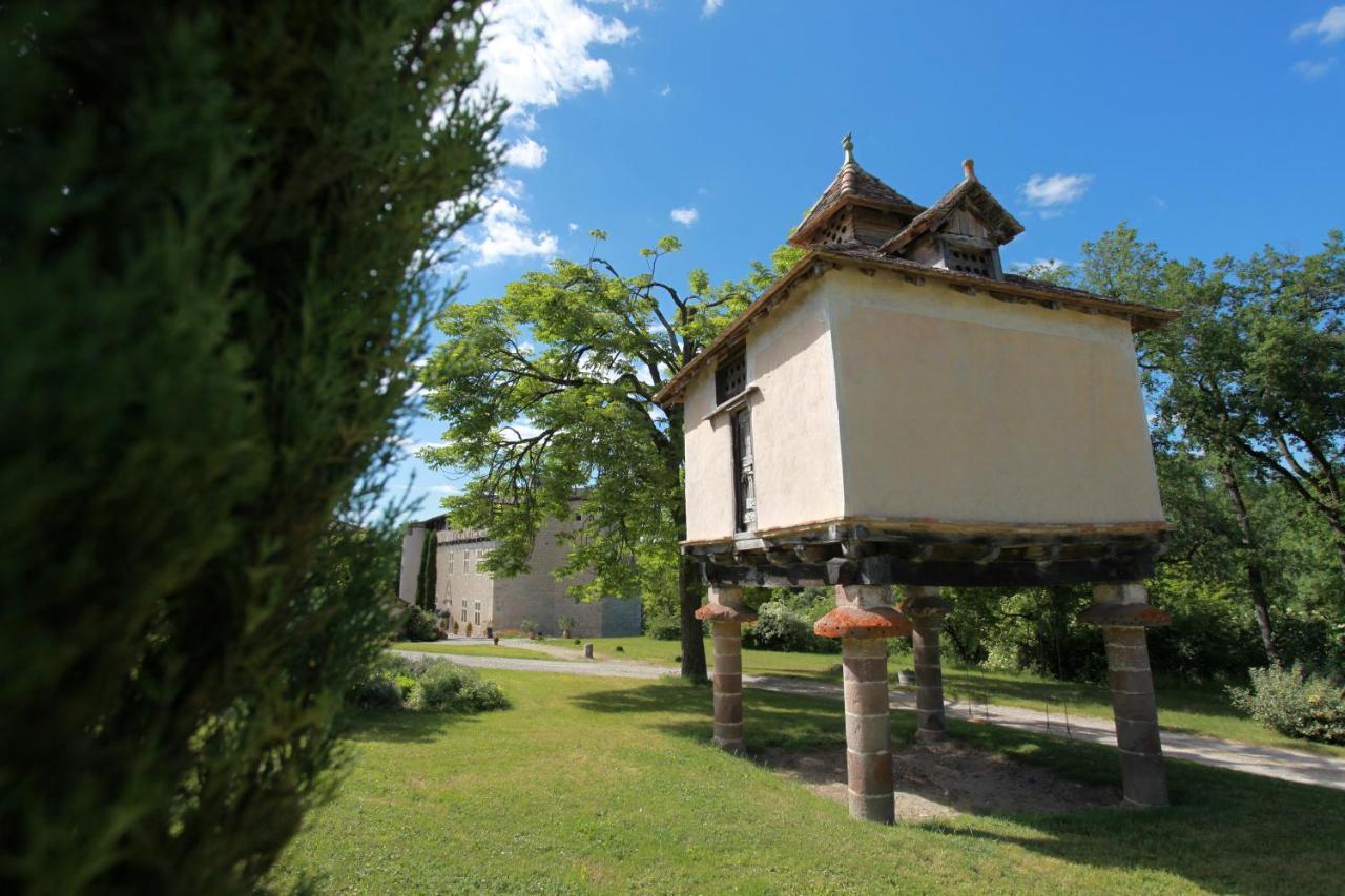 Chateau De Mayragues Castelnau-de-Montmiral Εξωτερικό φωτογραφία